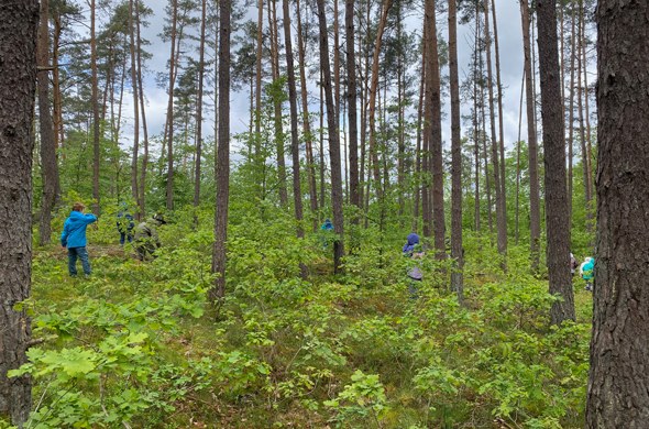 Schuelergruppe_im_Wald_sucht_nach_Pflanzen